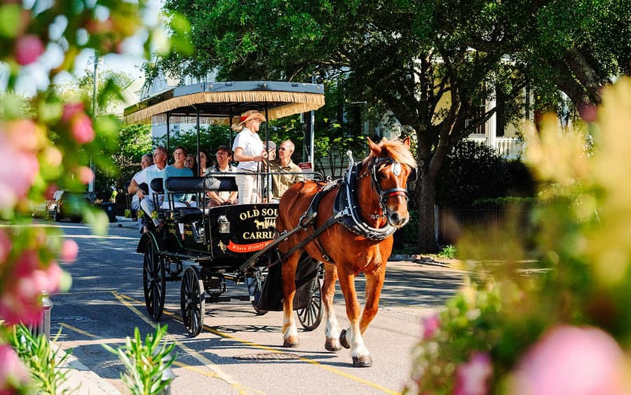 Charleston Historical Downtown Tour by Horse-drawn Carriage