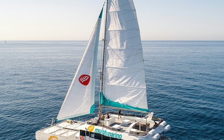 Malaga: Sunset Catamaran Cruise + Drink