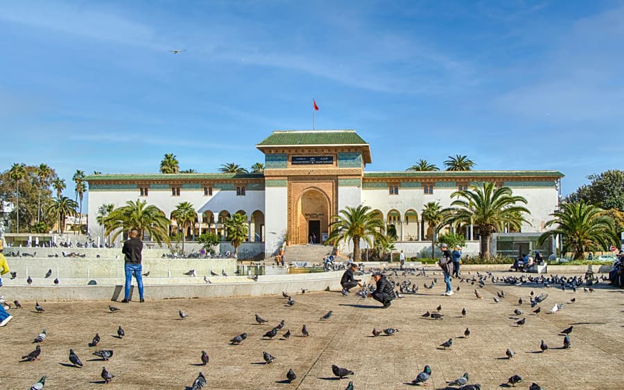 Casablanca City & Hassan II Mosque Tour for Cruise Excursions