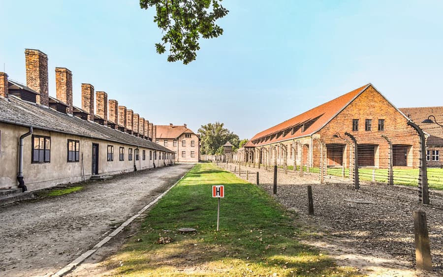 From Krakow: Auschwitz-Birkenau & Wieliczka Salt Mine Guided Tour
