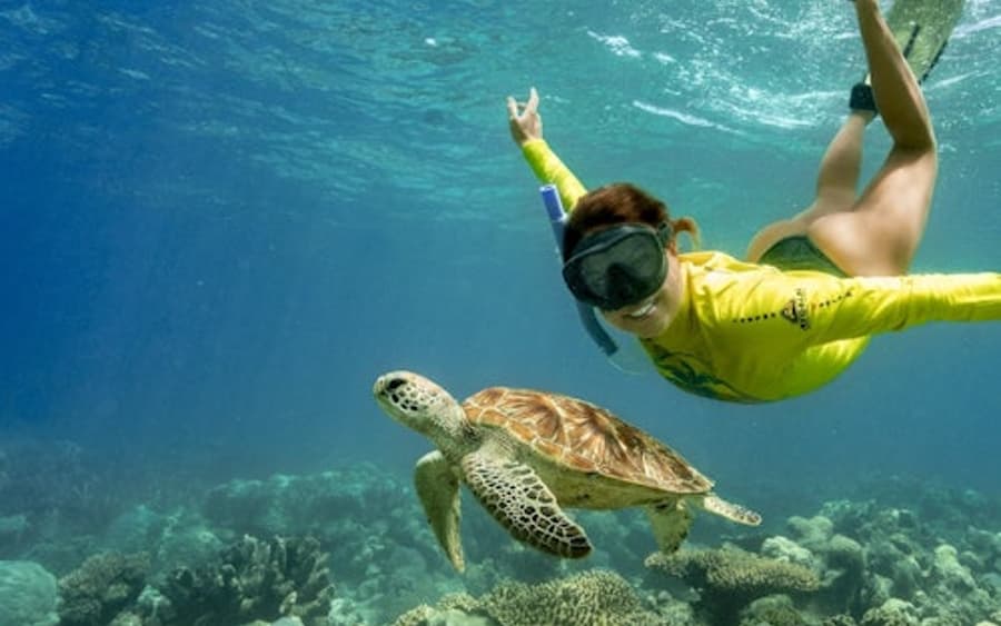 Ocean Safari Great Barrier Reef Tour from Cape Tribulation