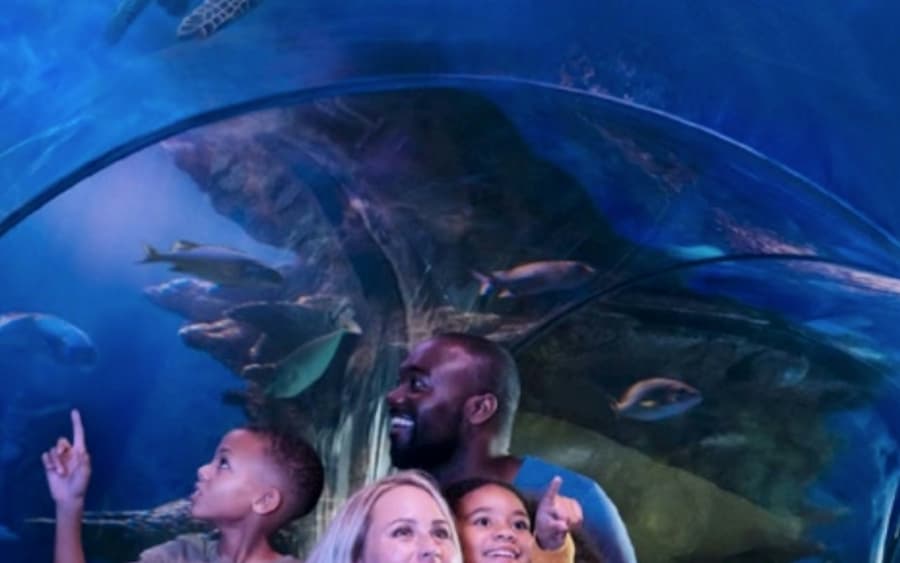 SEA LIFE Arizona: Entry Ticket