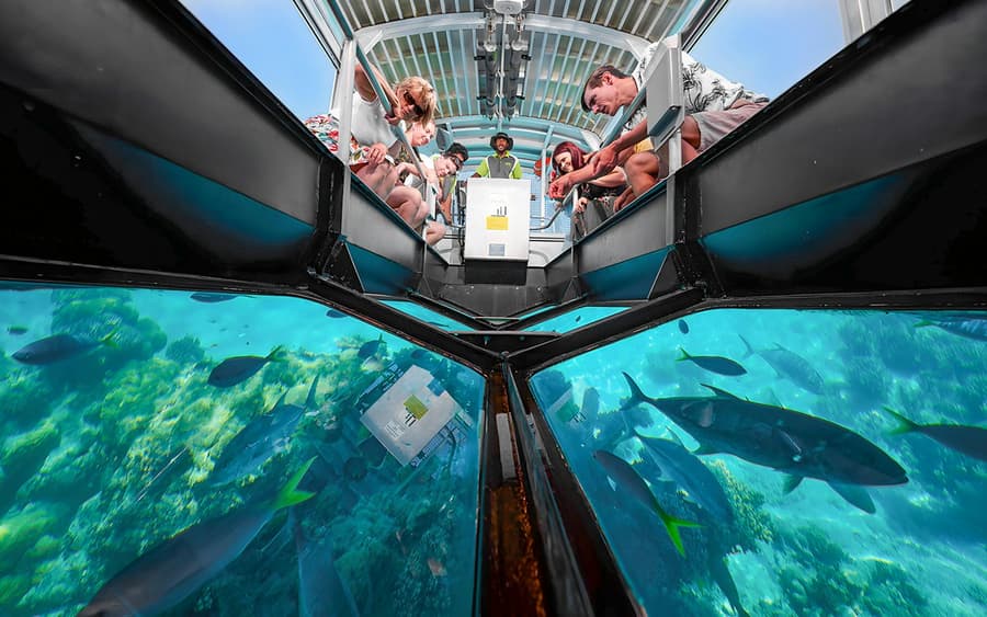 Cruzeiro de Cairns para Green Island Dia Inteiro/Meio Dia com Tour de Barco de Vidro