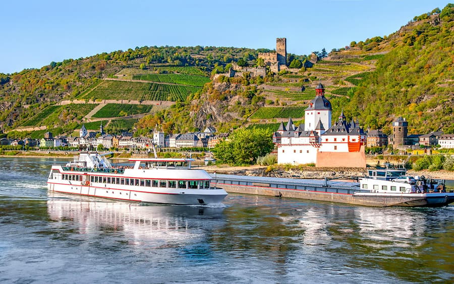 From Frankfurt: Rhine Valley Day Trip