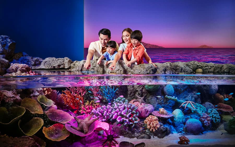Combo: SEA LIFE Bangkok + Madame Tussauds Bangkok Tickets