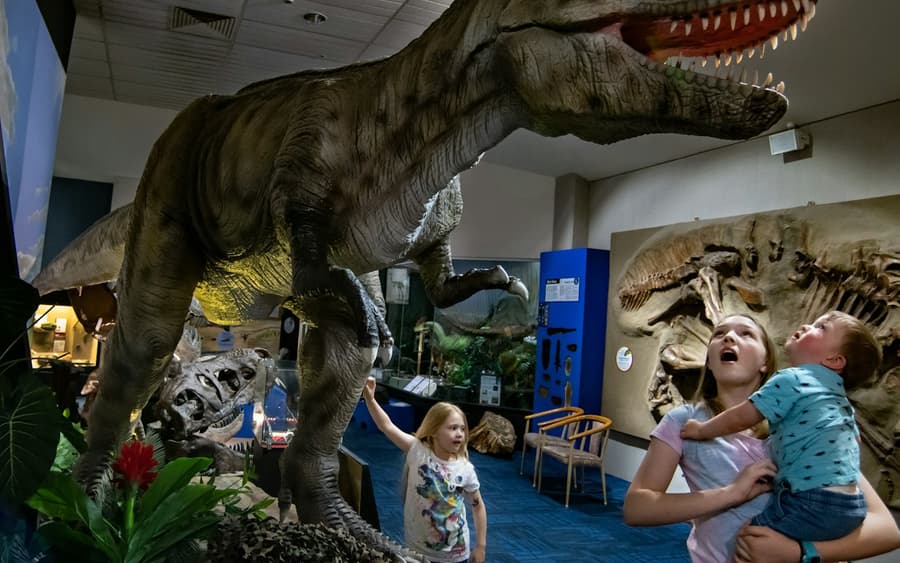 National Dinosaur Museum: Skip The Line Ticket