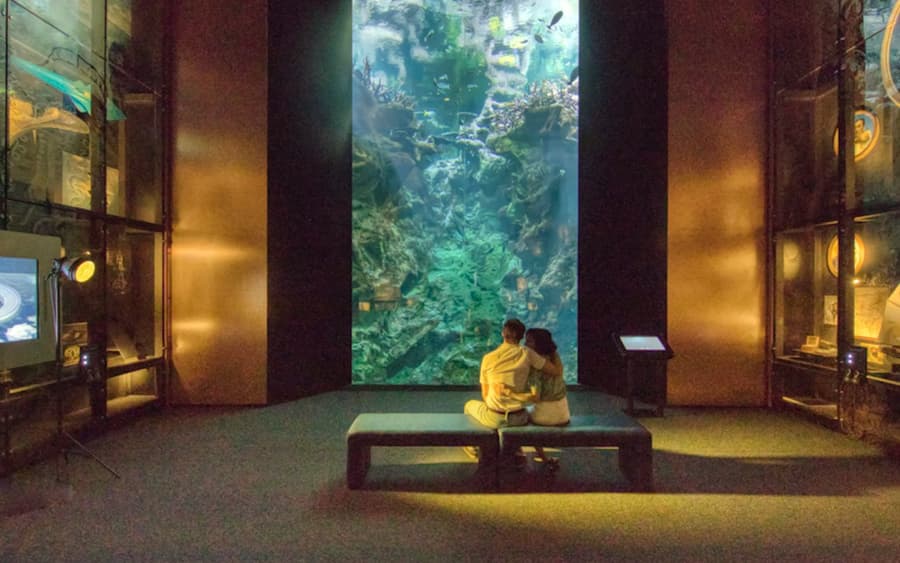 La Cité de la Mer: Entry Ticket