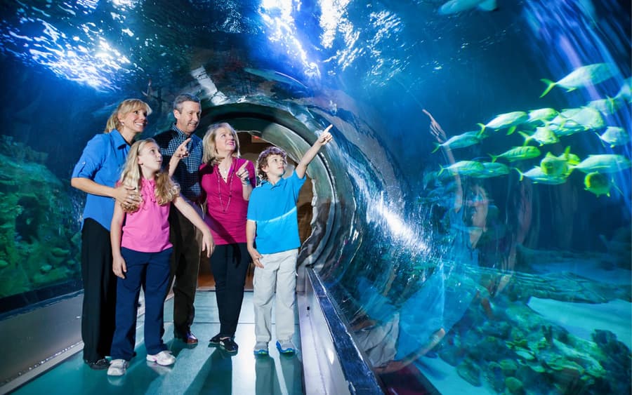 Pacchetto Attrazioni ICON Park: La Ruota, Madame Tussauds e SEA Life Aquarium