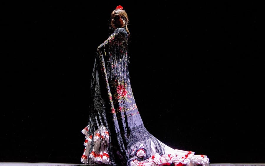 Málaga Club - Espectáculo Esencia Flamenca