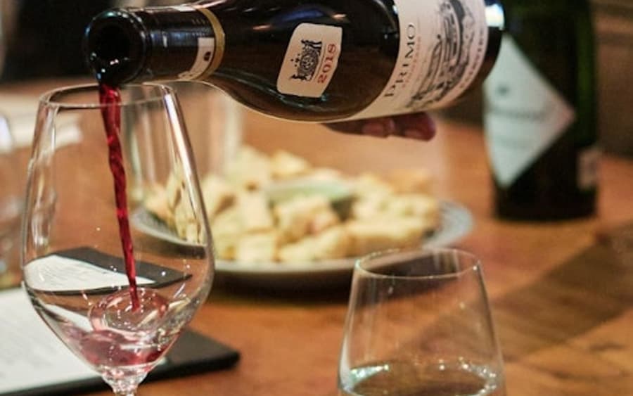 Cape Town: Private 3 Wine Regions Tour + Hotel Transfer