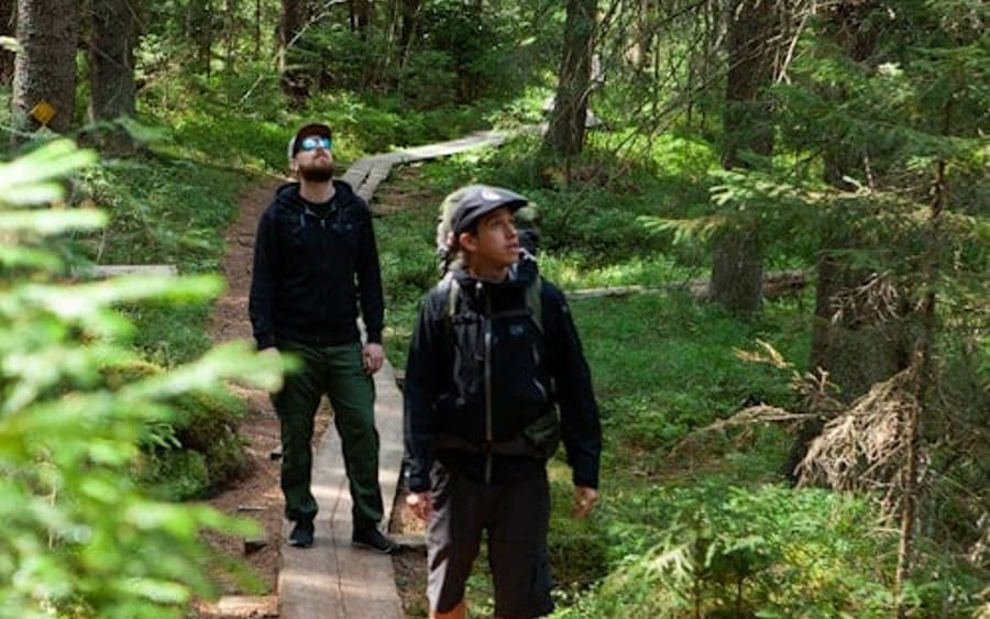 Helsinki: Magical Taiga Forest Hike