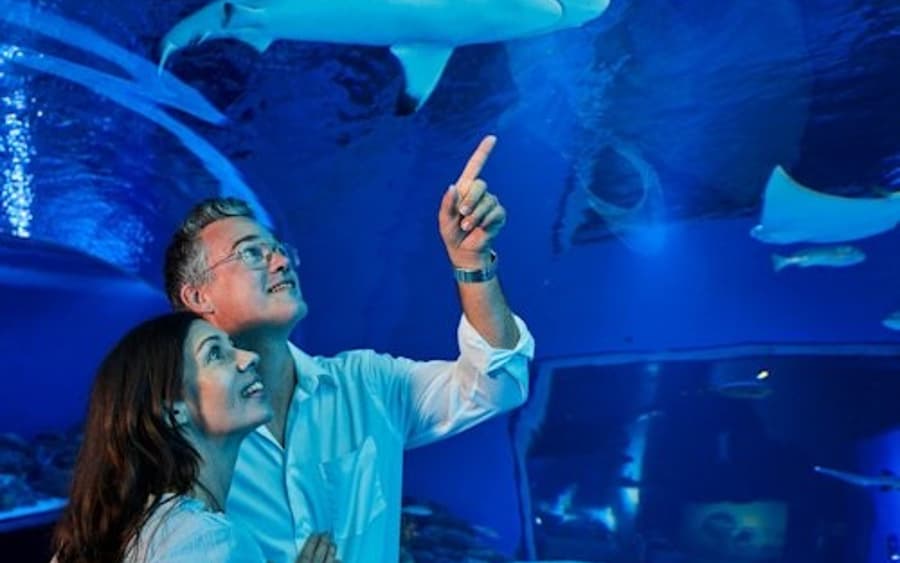 Cairns Aquarium & Tomb of the Pharaohs: Entry Ticket