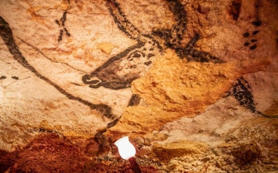 جولة إرشادية في لاسكو الرابع