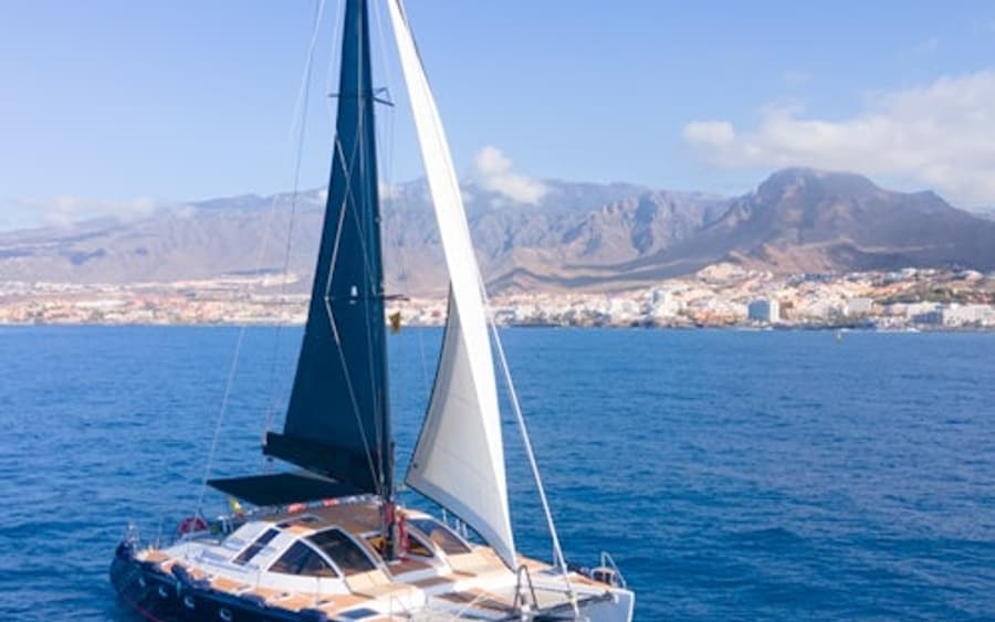 Tenerife: 3-Hour Whale & Dolphin Watching Catamaran Tour with Catering