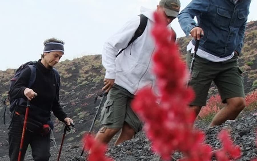 Mount Etna: Udflugt fra Catania