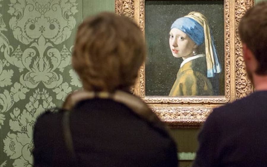 Mauritshuis-safnið: Aðgöngumiði