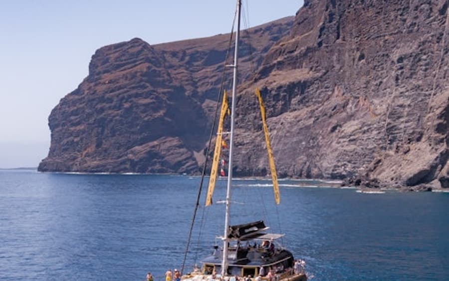 Tenerife: 4.5-Hour Whale & Dolphin Watching Tour to Masca & Los Gigantes