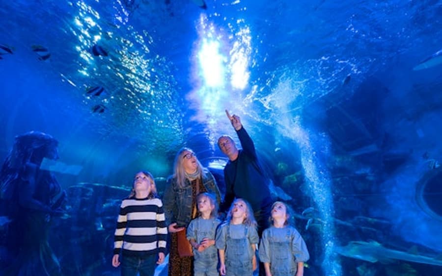 SEA LIFE Birmingham: Entry Ticket