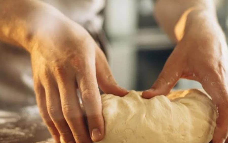 Genova Akvárium: Belépőjegy + Focaccia kóstoló