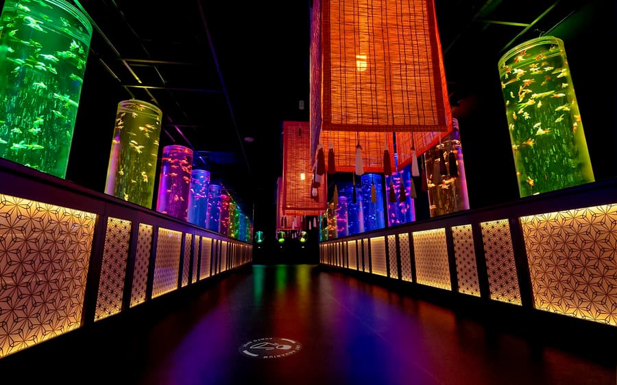 Art Aquarium Museum Ginza Tickets 