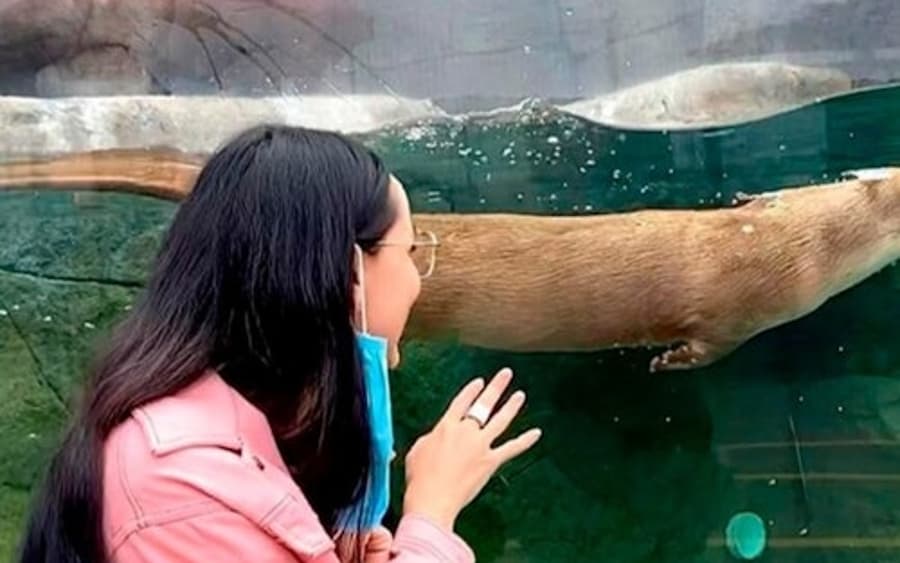 Квиток на відвідування акваріуму Bioparc Gijon