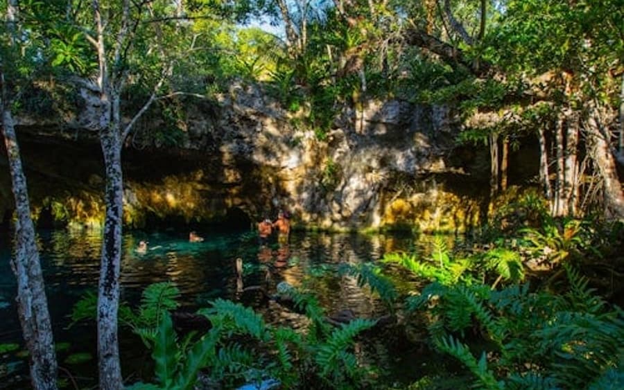 Percorso di Tulum e 2 Cenotes: Tour in bicicletta + Pranzo