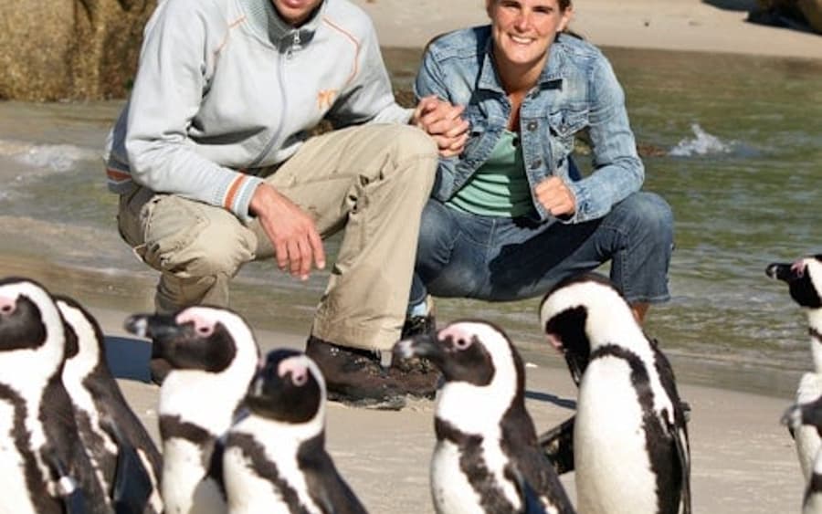 Boulders Beach & Cape Point: Puolen päivän kiertoajelu