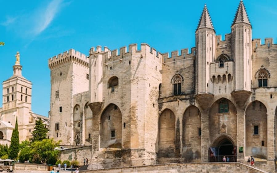 Palacio de los Papas y Puente de Aviñón: Entrada