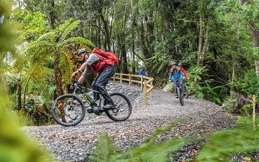 Tur Bersepeda Listrik & Hiking Terpandu di Lembah Gletser Fox