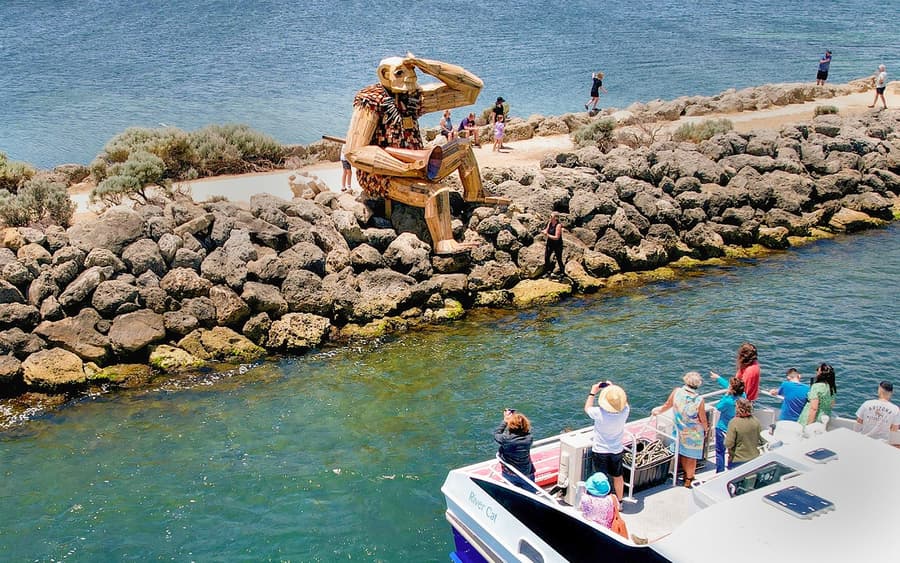 Cruzeiro de Observação de Golfinhos e Gigantes