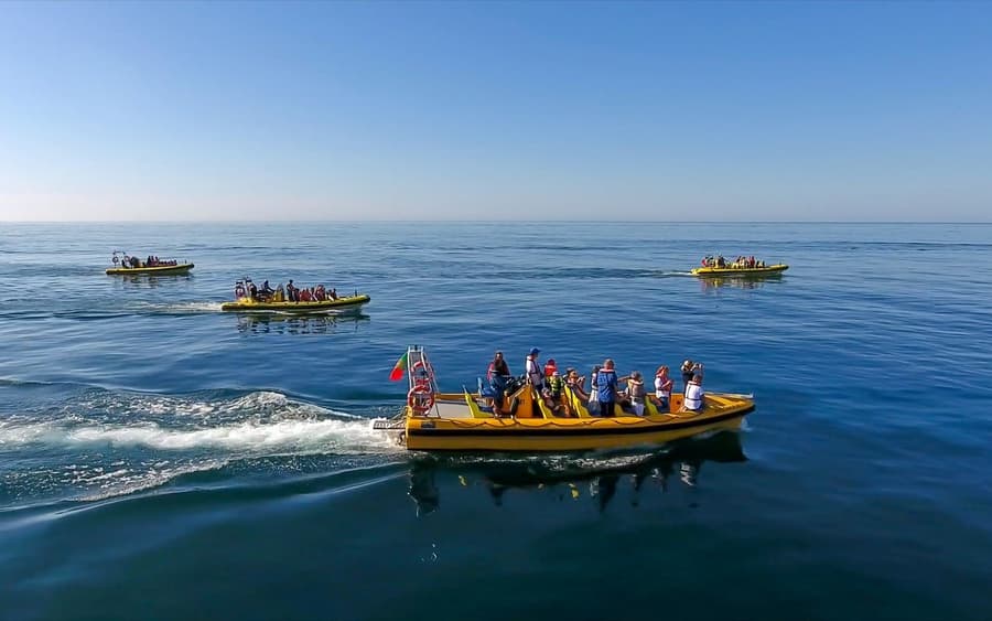 Crociera Guidata di 2 Ore per Avvistamento Delfini e Visita alle Grotte in Algarve