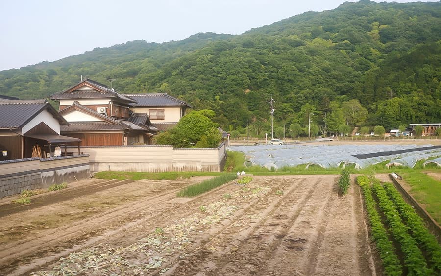 Abonament de 5 dies per a la zona de JR Okayama-Hiroshima-Yamaguchi
