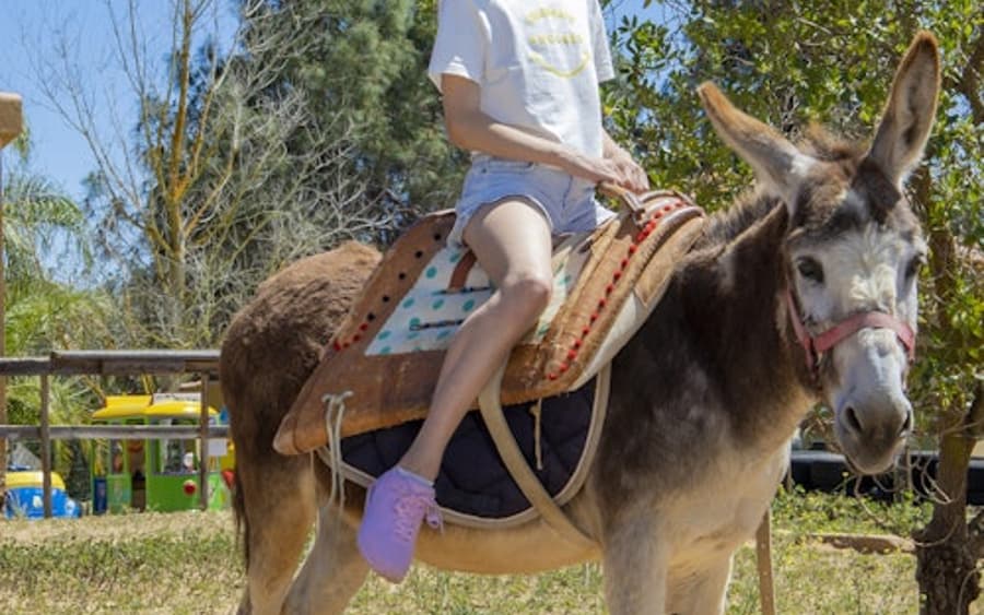 Vé Vào Cửa Công Viên Krazy World Algarve