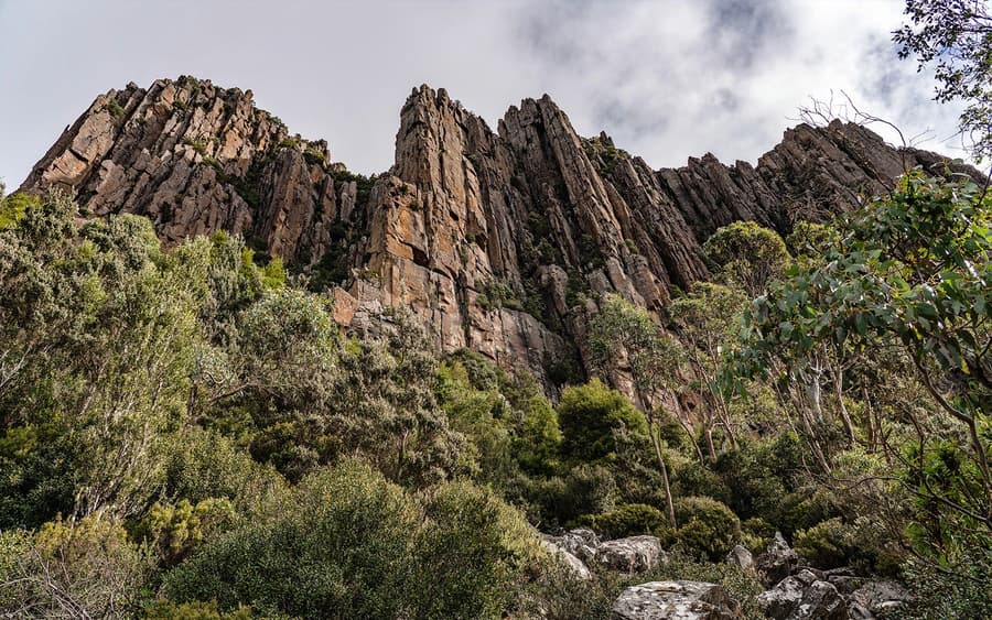 Prohlídka s průvodcem na Mt Wellington