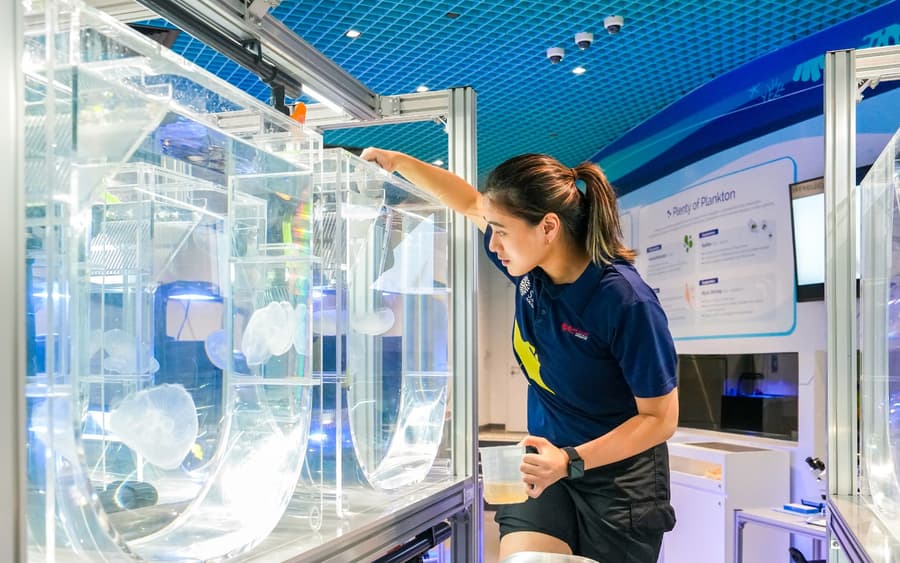 Singapore Oceanarium Eintrittskarten