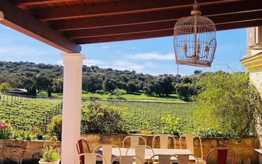 Bodega Doña Felisa: Visita Guiada y Degustación de Vinos o Almuerzo