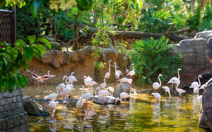 Entradas para Bioparc Fuengirola