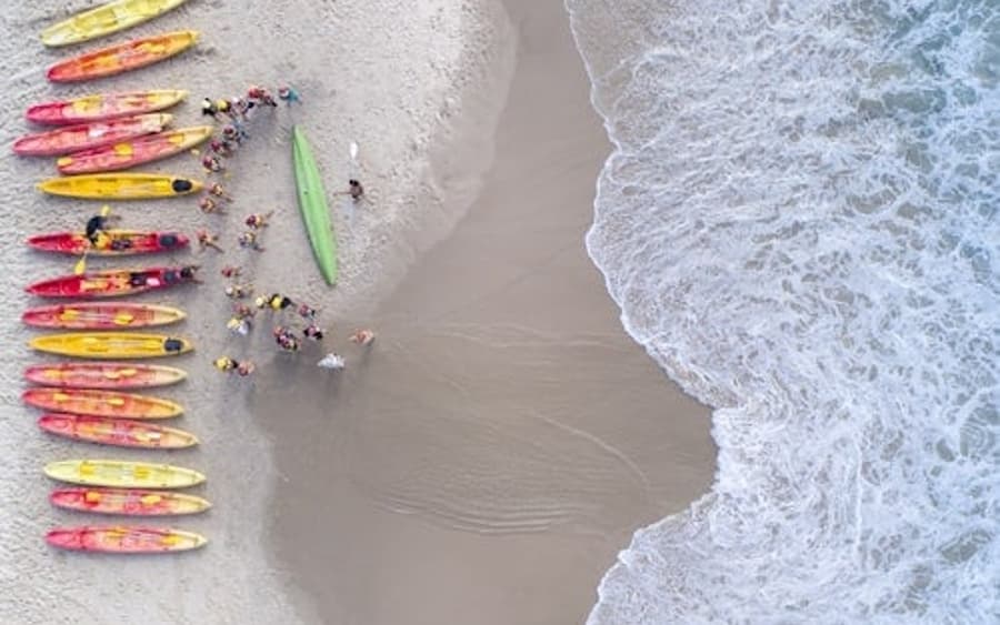 Kayak con los delfines: Tour guiado de medio día
