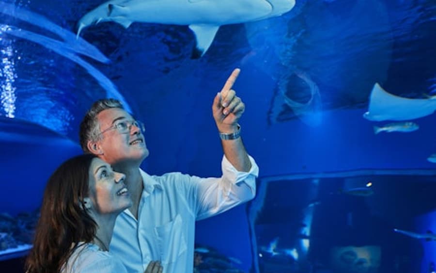 Acuario de Cairns: Entrada Nocturna + Cena de 2 Platos
