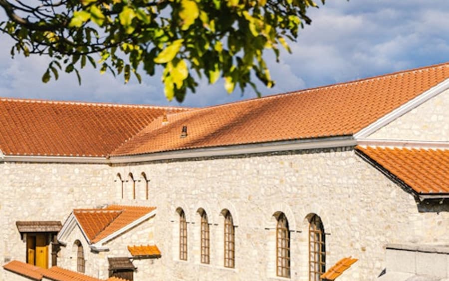 Thành phố La Mã Carnuntum: Tham quan có hướng dẫn bằng tiếng Slovakia