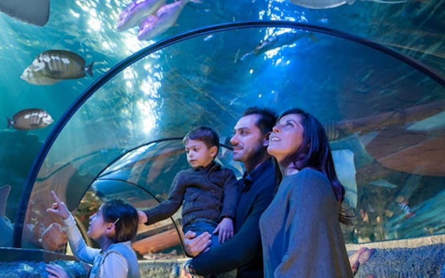 Gardaland SEA LIFE Aquarium: Entry Ticket