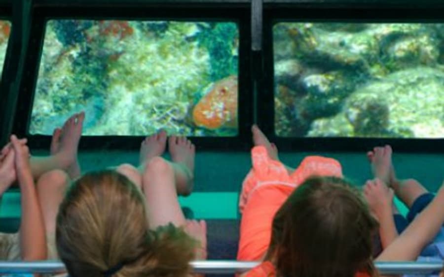 Excursión en Barco con Fondo de Cristal en Cayo Hueso