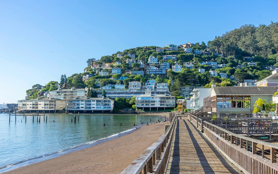 Desde São Francisco: Viagem Diurna a Alcatraz, Muir Woods e Sausalito