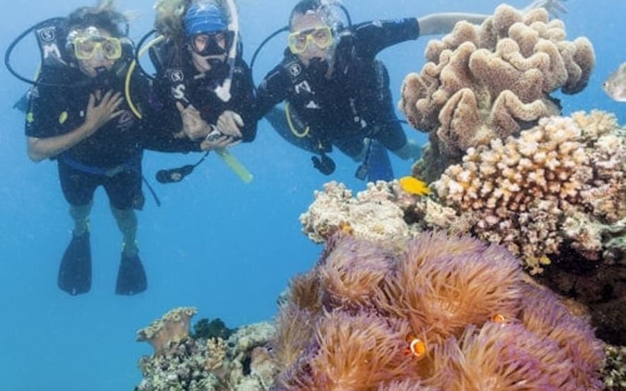 Great Barrier Reef: Guided Boat Tour from Cairns + Snorkelling + Lunch