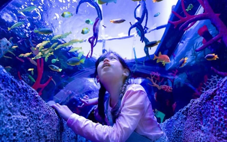 SEA LIFE 오버하우젠: 입장 티켓
