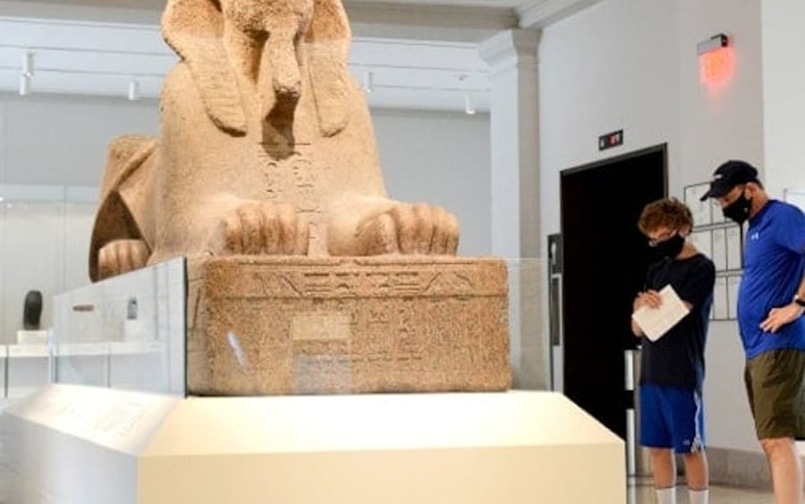 Museum Arkeologi dan Antropologi Penn: Jalur Cepat