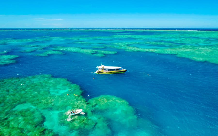 Airlie Beach: Outer Great Barrier Reef & Whitehaven Beach Snorkel Tour