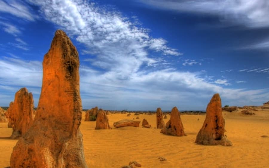 Padang Pasir Pinnacles & Taman Hidupan Liar Caversham: Lawatan + Luncur Pasir + Pengembaraan 4WD