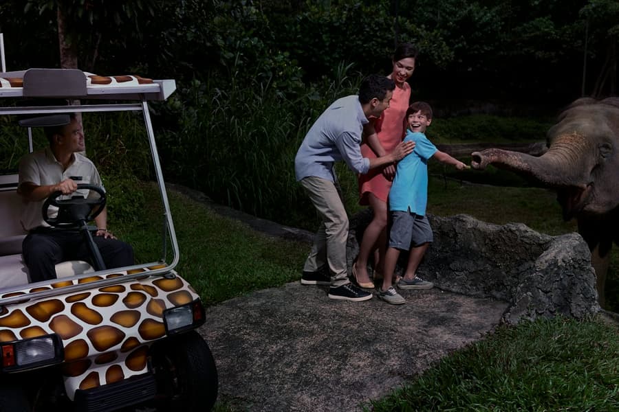 Singapore Night Safari: Entry Ticket + Roundtrip Transport at Singapore Night Safari