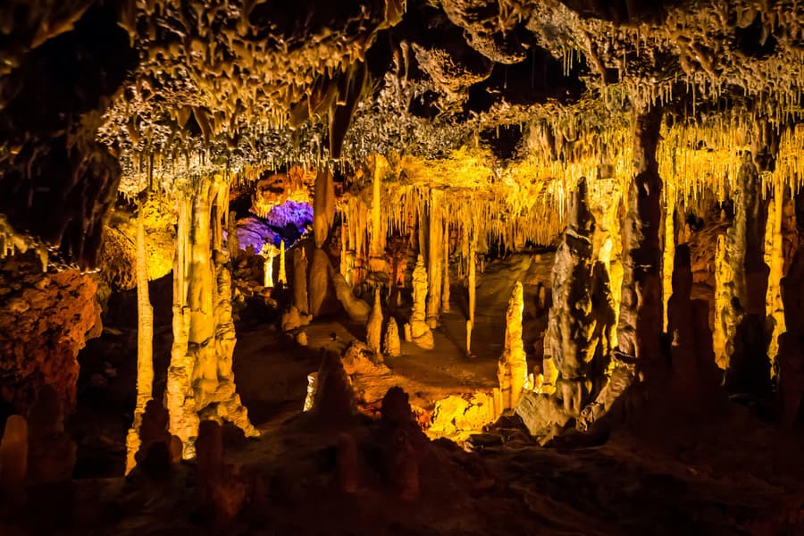 From Palma: Hams' Caves & Porto Cristo Half-Day Trip, Mallorca